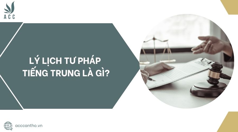 Lý lịch tư pháp tiếng Trung là gì?.jpg