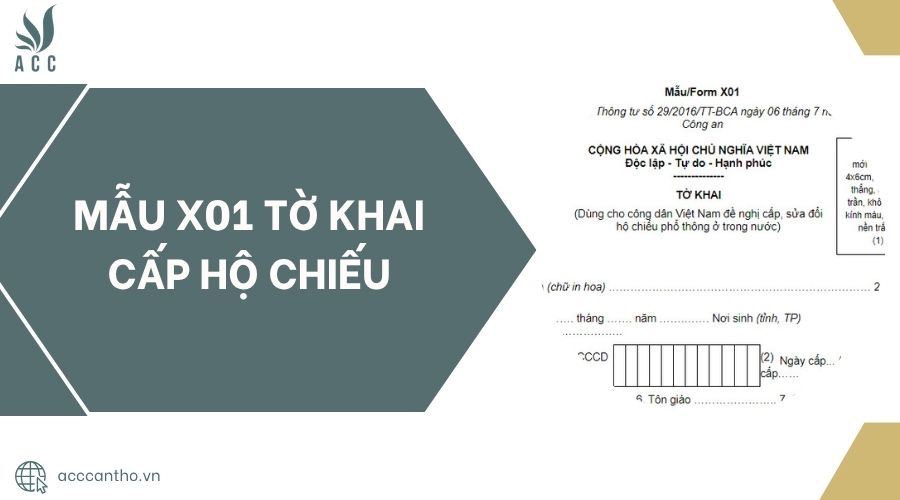 Mẫu X01 tờ khai cấp hộ chiếu.jpg