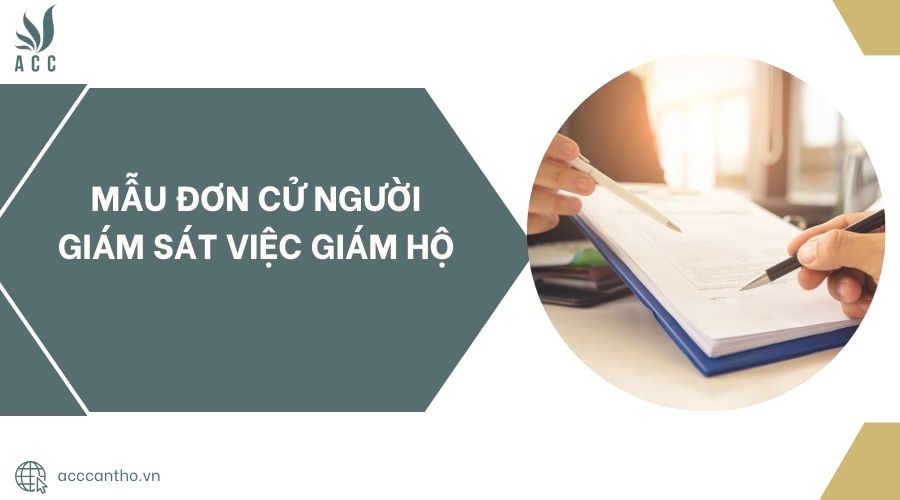 Mẫu đơn cử người giám sát việc giám hộ