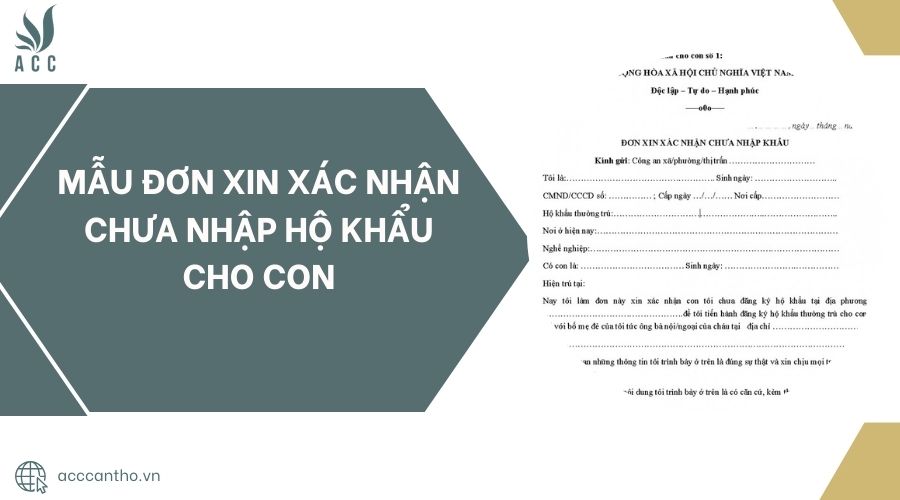 Mẫu đơn xin xác nhận chưa nhập hộ khẩu cho con
