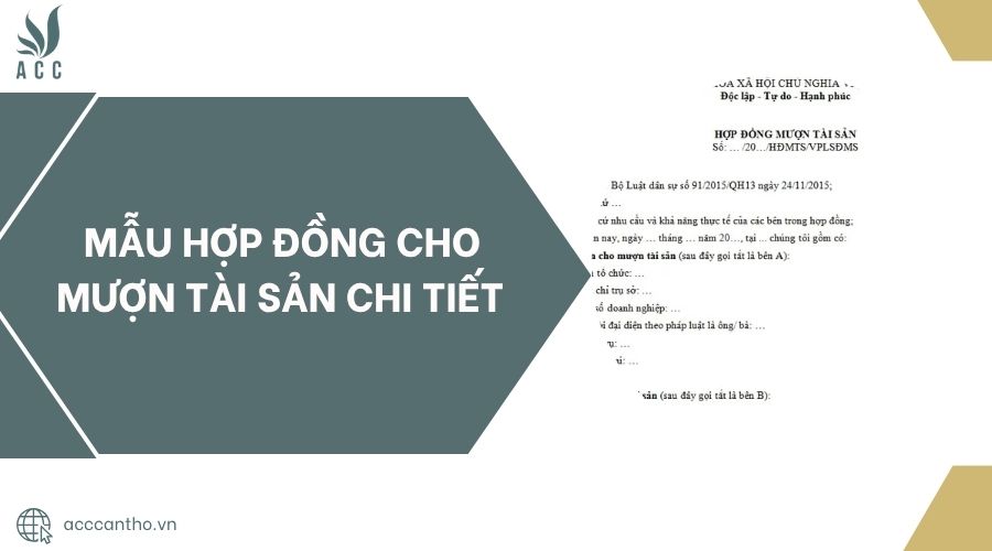Mẫu hợp đồng cho mượn tài sản chi tiết.jpg