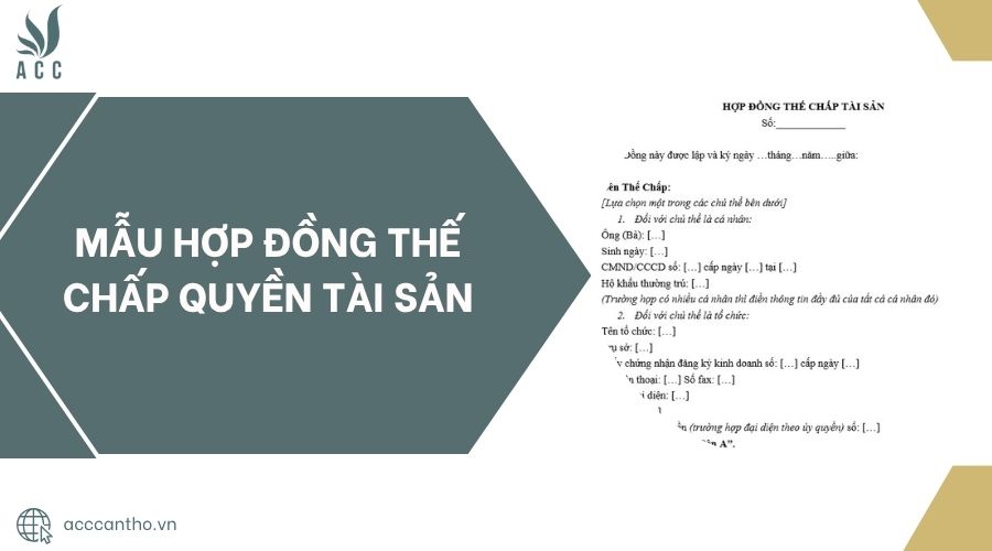 Mẫu hợp đồng thế chấp quyền tài sản.jpg