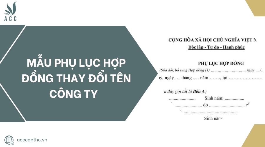 Mẫu phụ lục hợp đồng thay đổi t&ecirc;n c&ocirc;ng ty.jpg