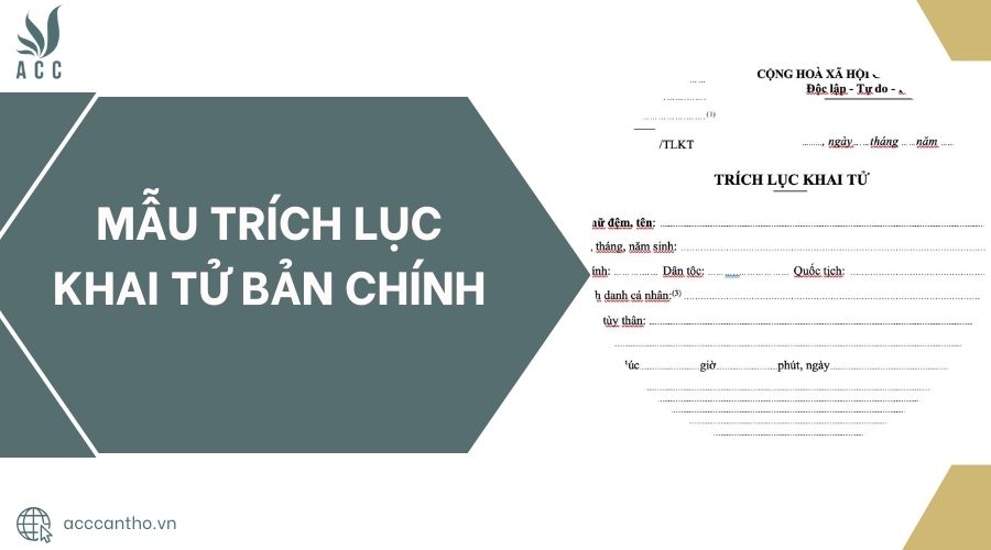 Mẫu trích lục khai tử bản chính.jpg
