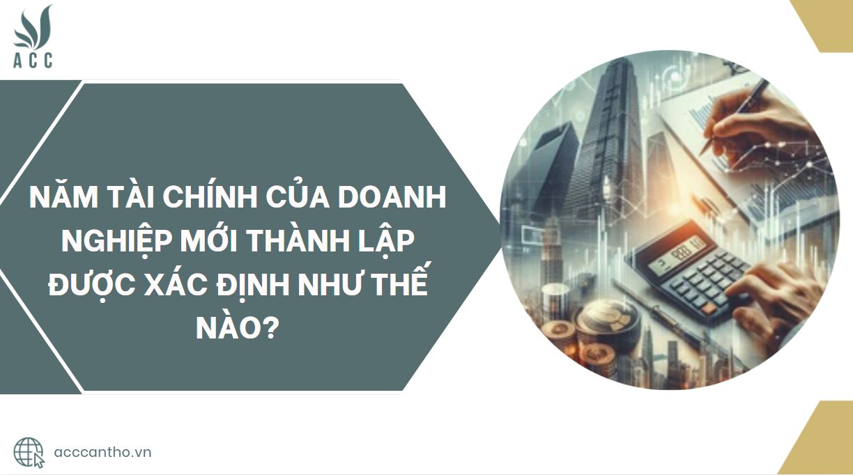 Năm tài chính của doanh nghiệp mới thành lập được xác định như thế nào?.jpg