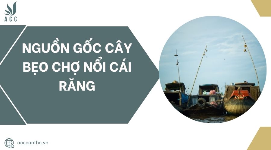 Nguồn gốc Cây bẹo chợ nổi Cái Răng.jpg