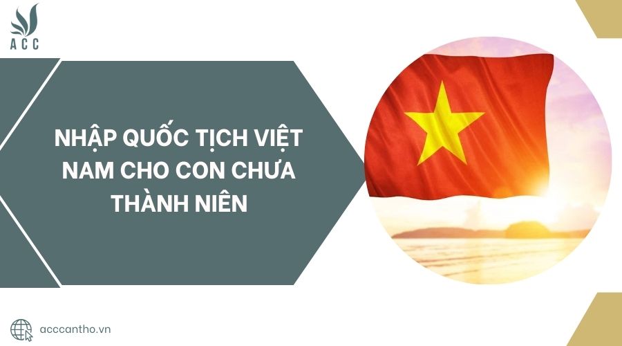 Nhập quốc tịch Việt Nam cho con chưa thành niên.jpg