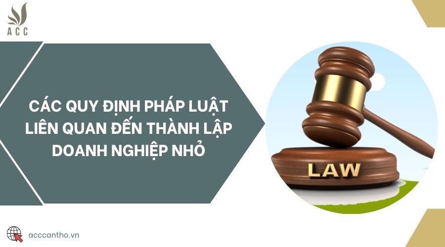 Các quy định pháp luật liên quan đến thành lập doanh nghiệp nhỏ