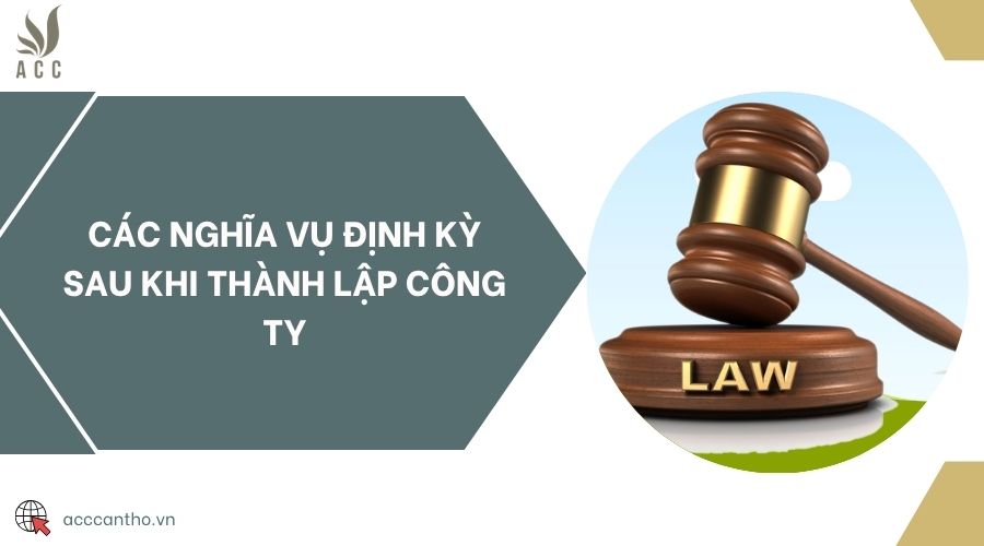 Các nghĩa vụ định kỳ sau khi thành lập công ty