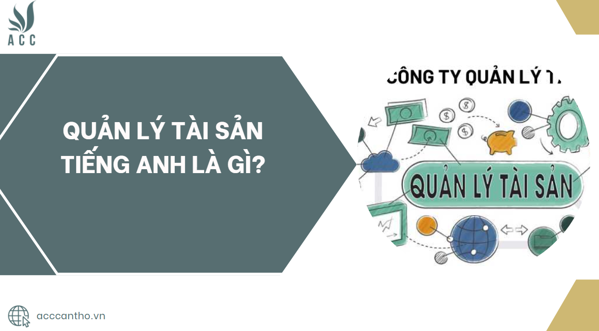 Quản lý tài sản tiếng Anh là gì?.jpg