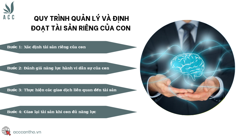 Quy trình quản lý và định đoạt tài sản riêng của con 