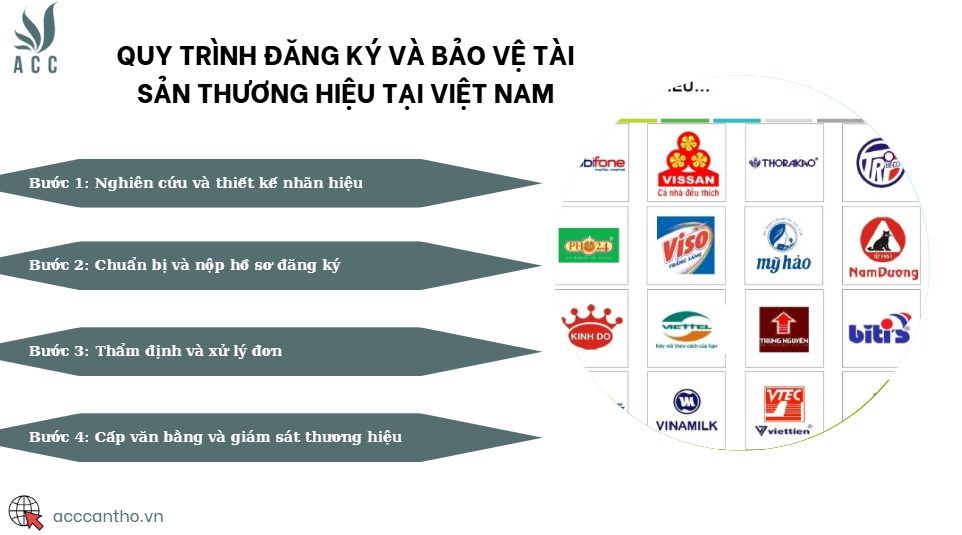 Quy trình đăng ký và bảo vệ tài sản thương hiệu tại Việt Nam