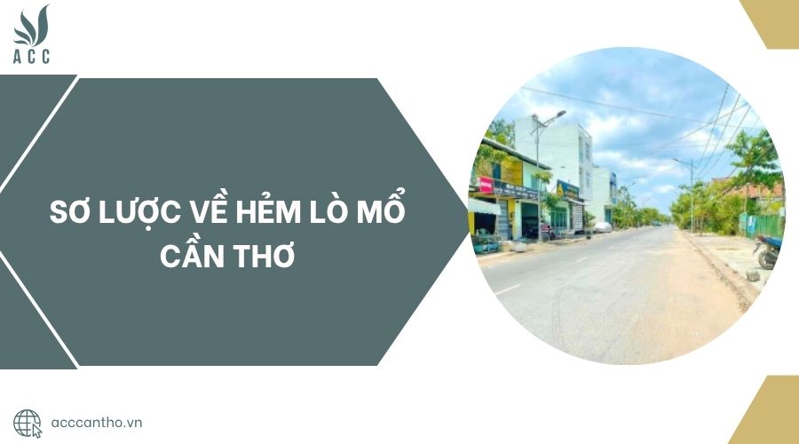 Sơ lược về Hẻm Lò Mổ Cần Thơ.jpg
