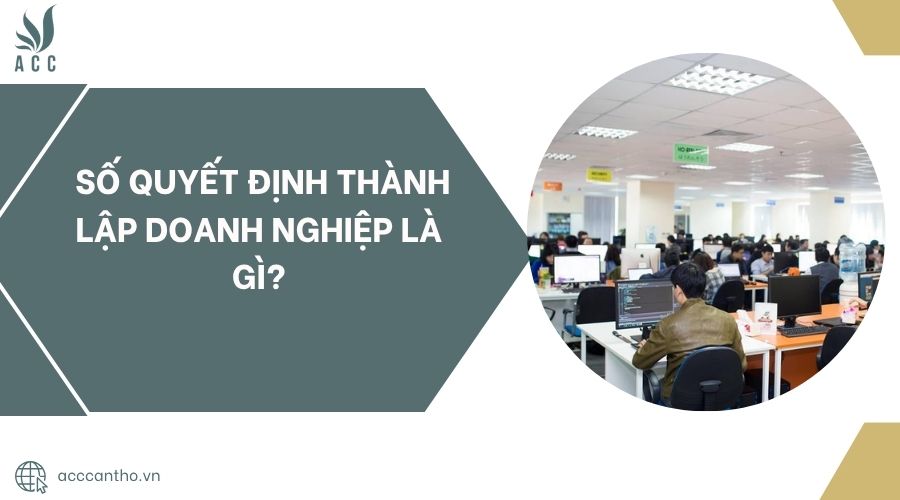 Số quyết định thành lập doanh nghiệp là gì?.jpg