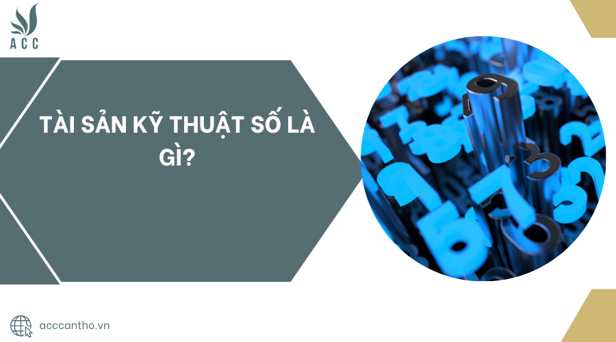 Tài sản kỹ thuật số là gì?