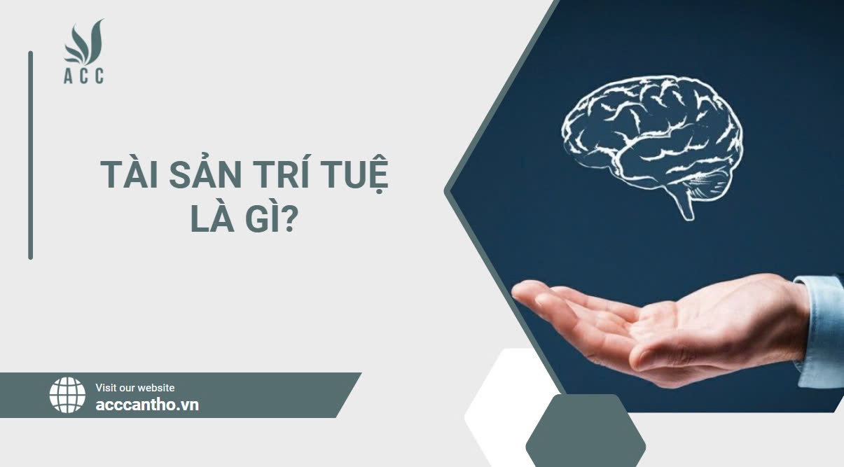 Tài sản trí tuệ là gì?
