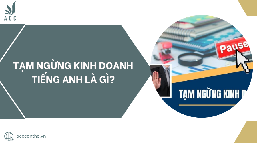 Tạm ngừng fv888 tiếng Anh là gì?