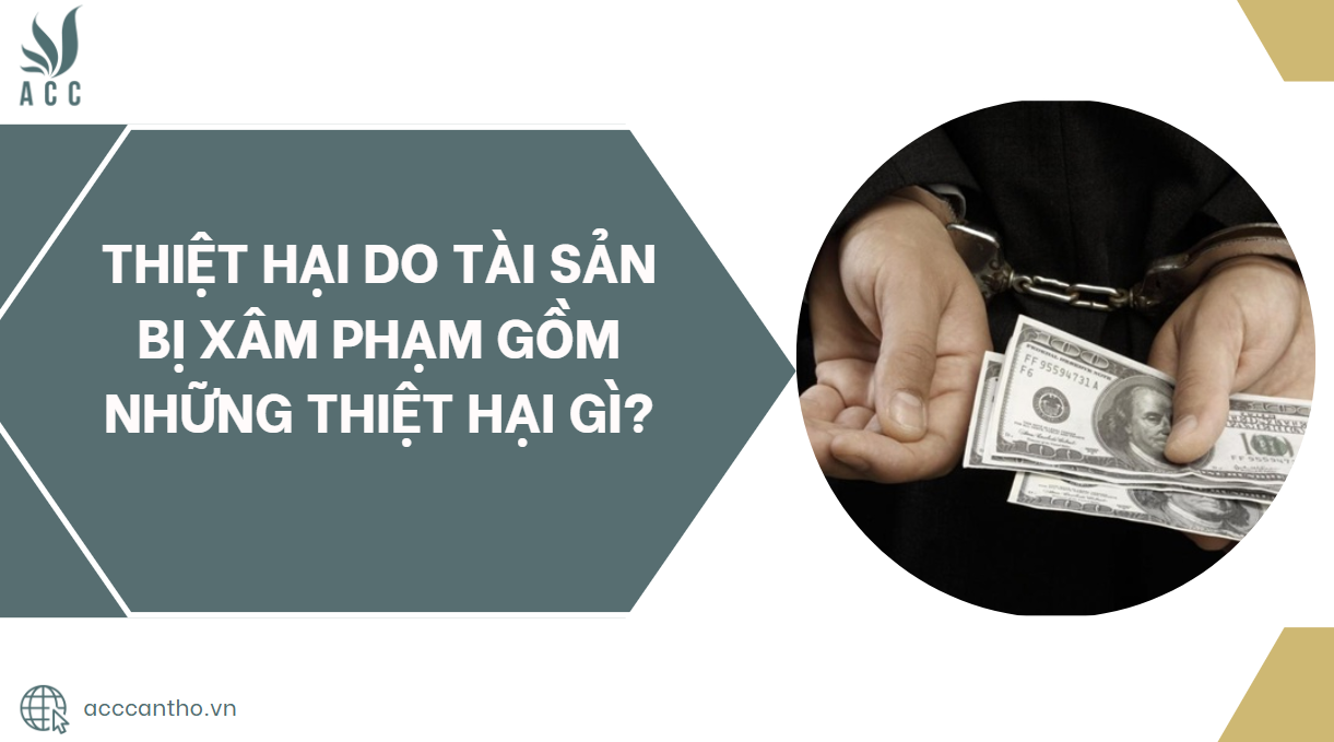 Thiệt hại do tài sản bị xâm phạm gồm những thiệt hại gì?.jpg