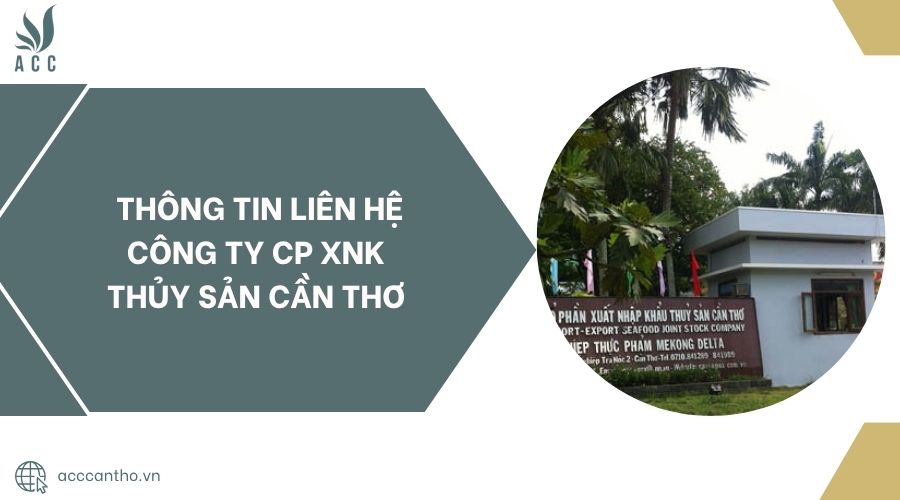 Thông tin liên hệ Công Ty CP XNK Thủy Sản Cần Thơ.jpg