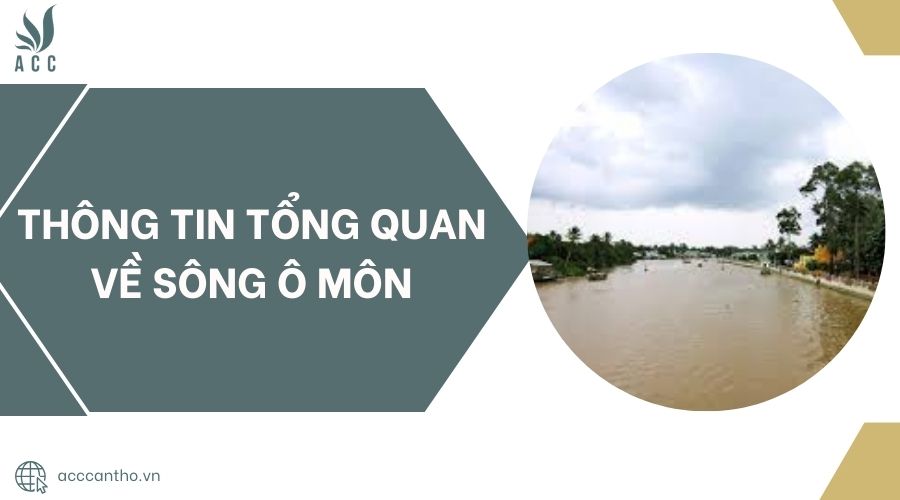 Thông tin tổng quan về sông Ô Môn.jpg