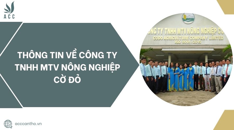 Thông tin về Công Ty TNHH MTV Nông Nghiệp Cờ Đỏ.jpg