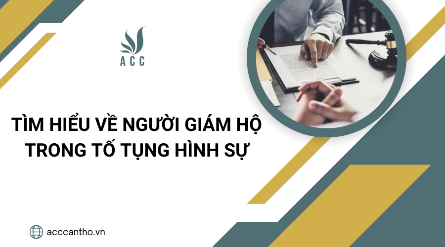 Tìm hiểu về người giám hộ trong tố tụng hình sự