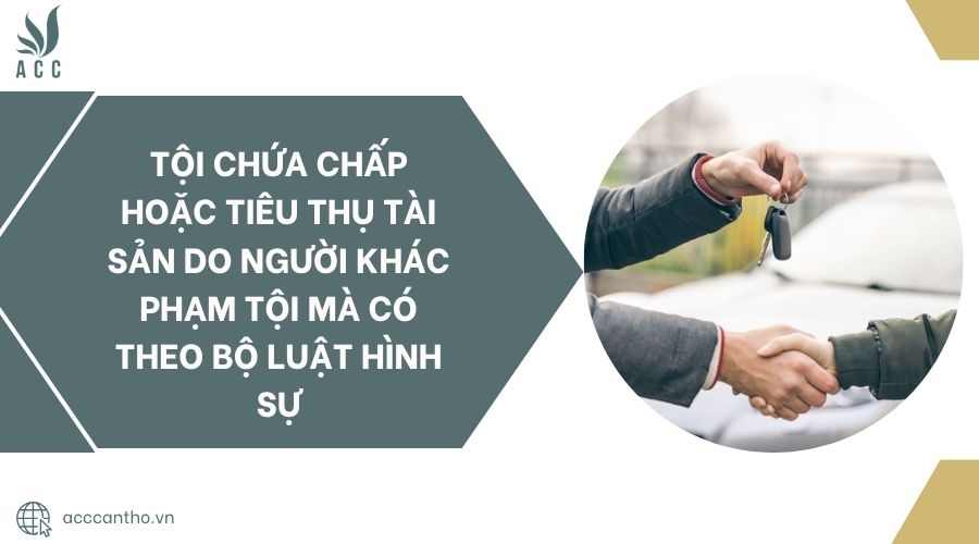 Tội chứa chấp hoặc tiêu thụ tài sản do người khác phạm tội mà có theo Bộ luật Hình sự.jpg
