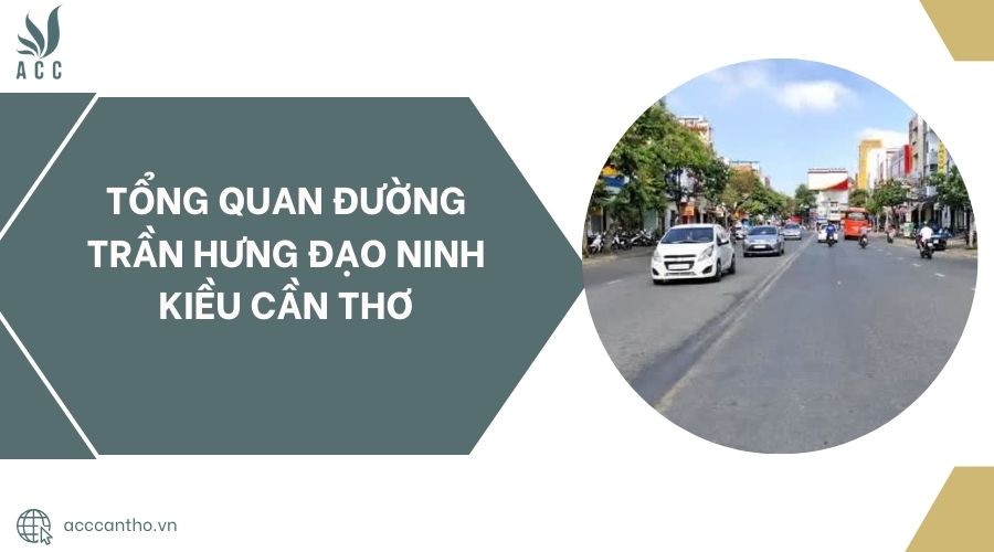Tổng quan đường Trần Hưng Đạo Ninh Kiều Cần Thơ.jpg