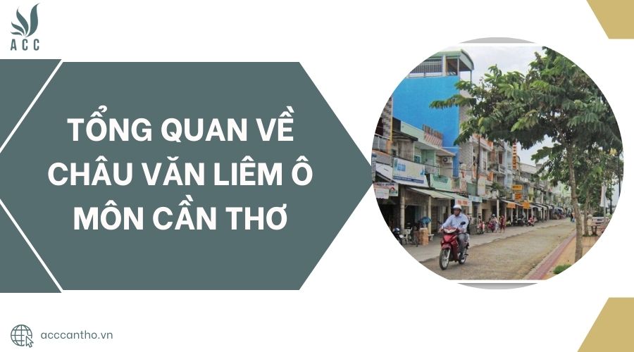Tổng quan về Châu Văn Liêm Ô Môn Cần Thơ.jpg