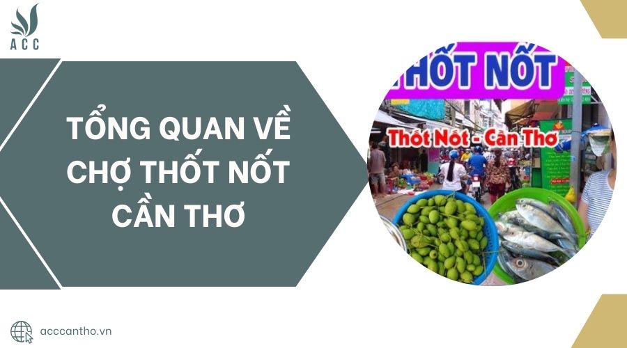 Tổng quan về Chợ Thốt Nốt Cần Thơ.jpg
