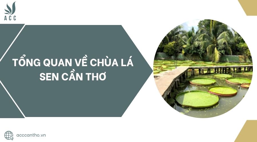 Tổng quan về Chùa Lá Sen Cần Thơ.jpg