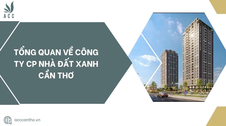 Tổng quan về Công ty CP Nhà Đất Xanh Cần Thơ.jpg