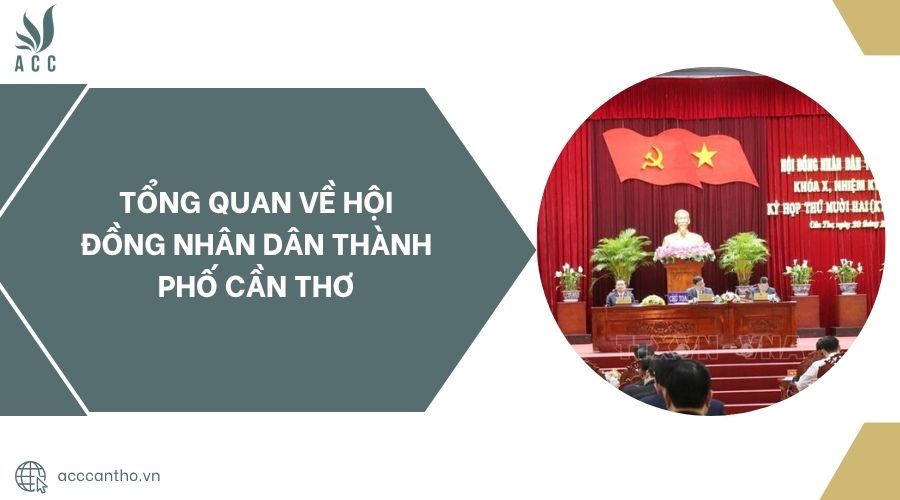 Tổng quan về Hội đồng nhân dân thành phố Cần Thơ.jpg