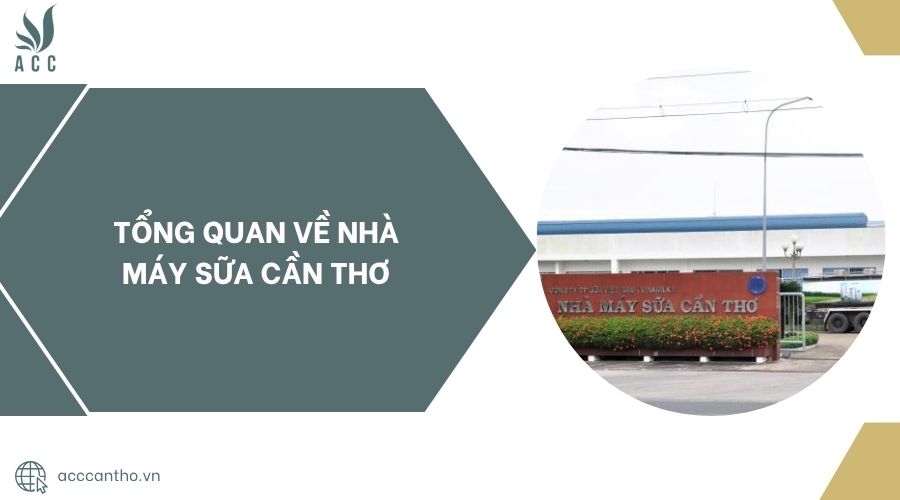 Tổng quan về Nhà máy sữa Cần Thơ.jpg