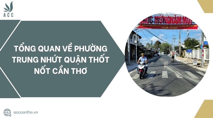 Tổng quan về Phường Trung Nhứt Quận Thốt Nốt Cần Thơ.jpg