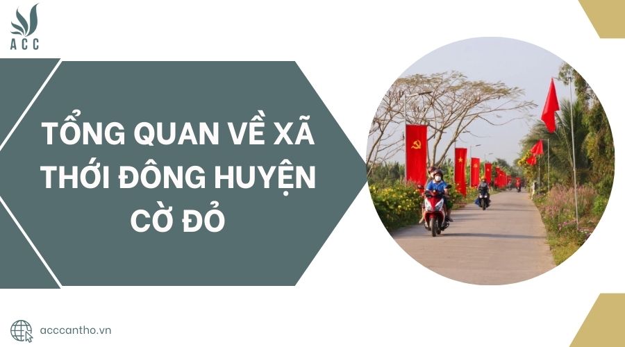 Tổng quan về Xã Thới Đông Huyện Cờ Đỏ.jpg
