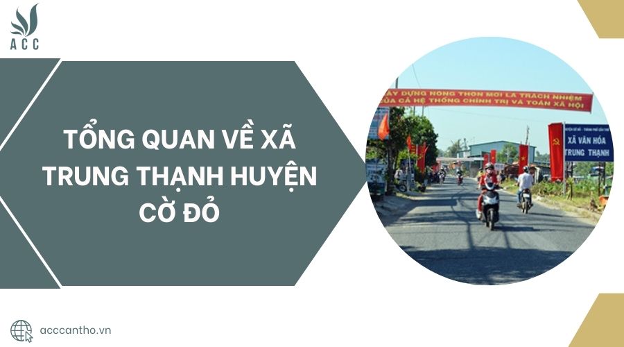 Tổng quan về Xã Trung Thạnh Huyện Cờ Đỏ.jpg