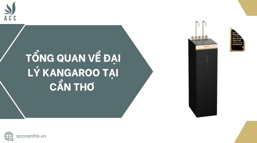 Tổng quan về đại lý kangaroo tại Cần Thơ.jpg
