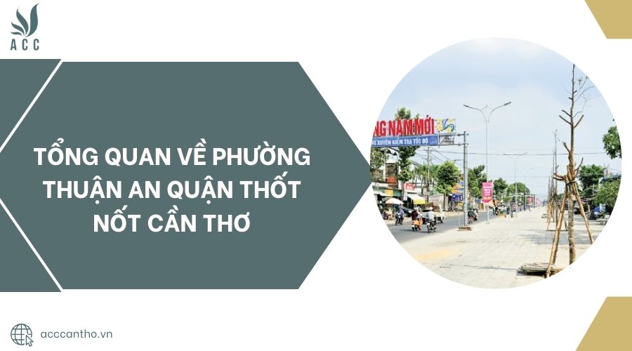 Tổng quan về phường Thuận An quận Thốt Nốt Cần Thơ.jpg