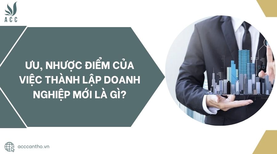 Ưu, nhược điểm của việc thành lập doanh nghiệp mới là gì?.jpg