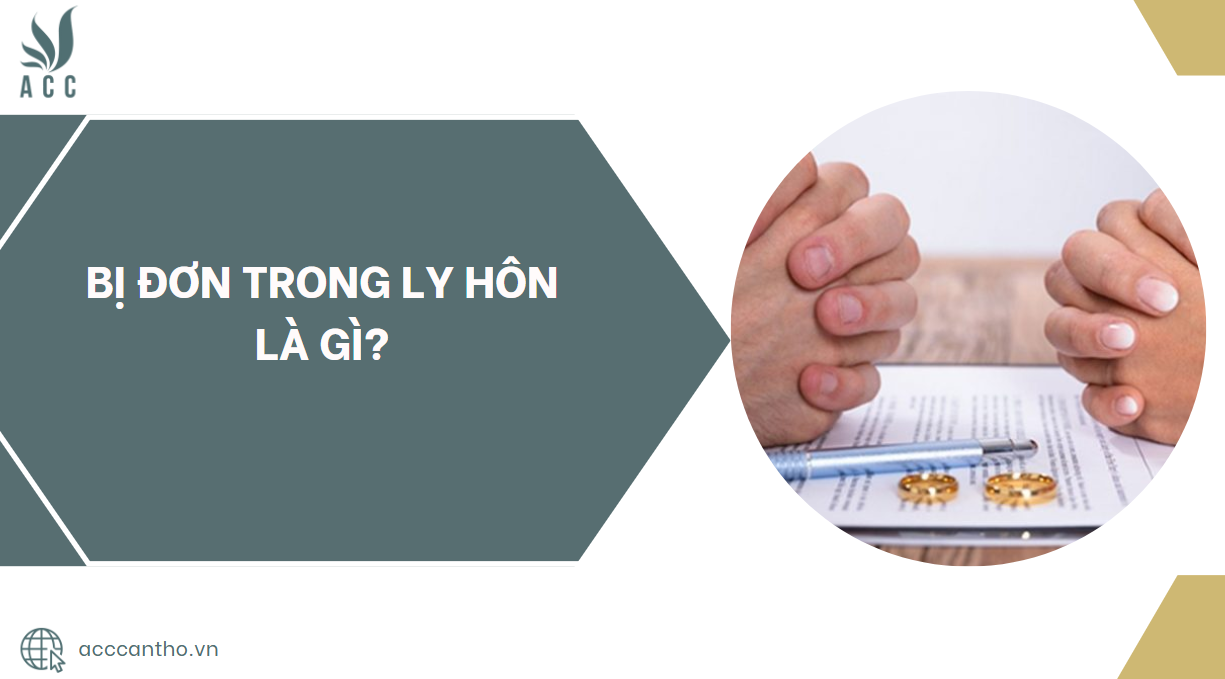 Bị đơn trong ly hôn là gì?.jpg
