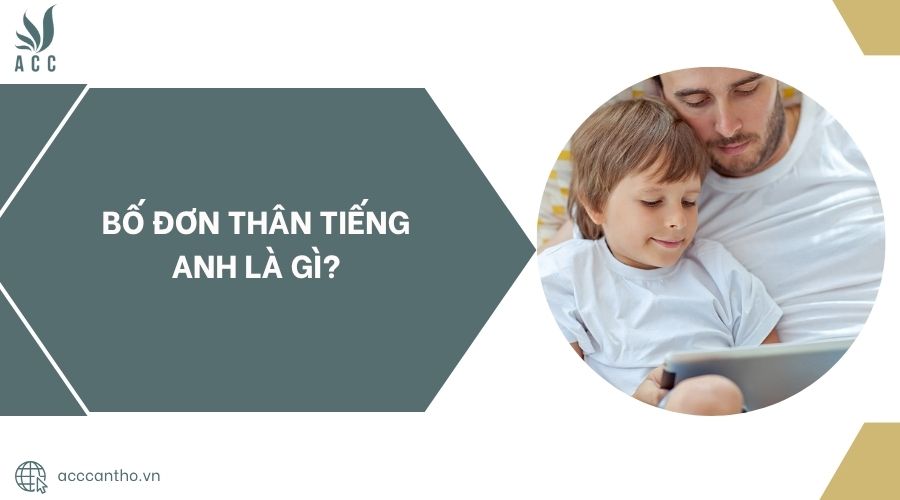 Bố đơn thân tiếng Anh là gì?.jpg