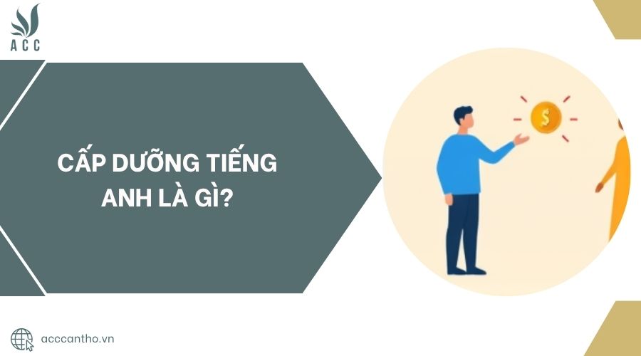 Cấp dưỡng tiếng Anh là gì?.jpg