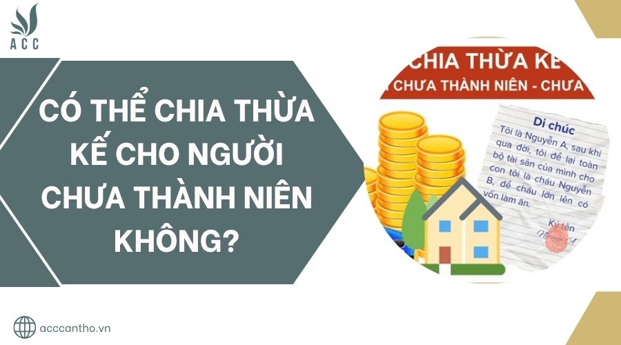 Có thể chia thừa kế cho người chưa thành niên không?.jpg