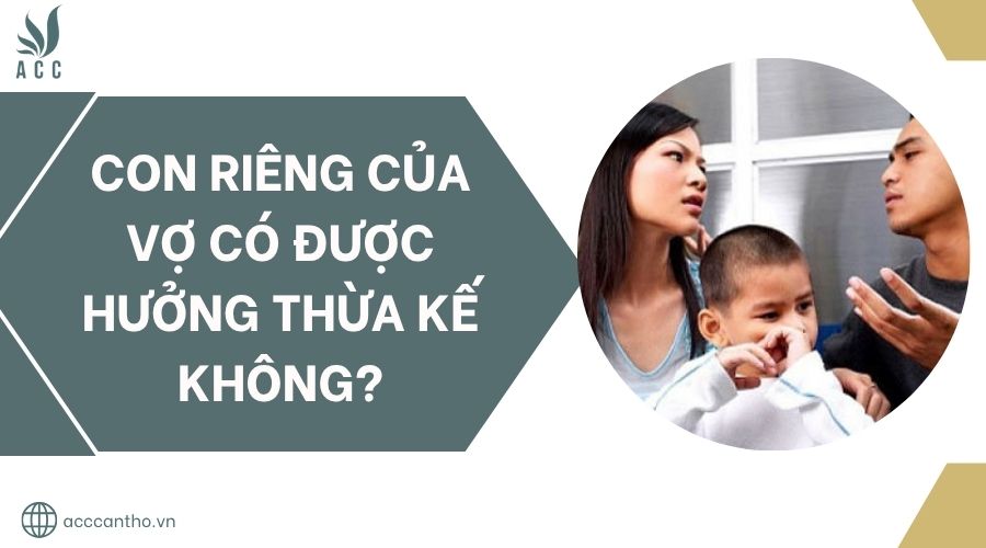 Con riêng của vợ có được hưởng thừa kế không?.jpg