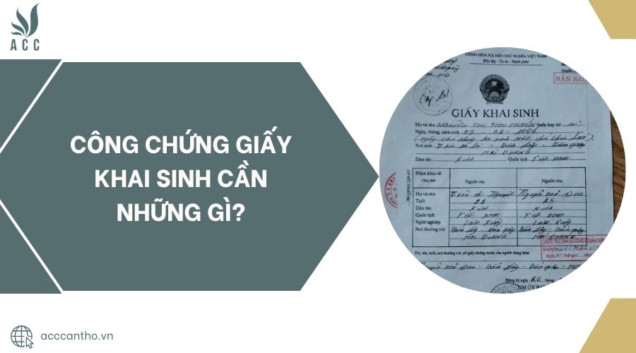 Công chứng giấy khai sinh cần những gì?.jpg