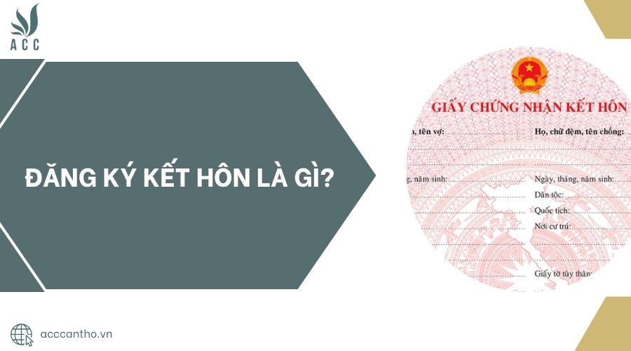 Đăng ký fv88 đá gà trực tiếp là gì?.jpg