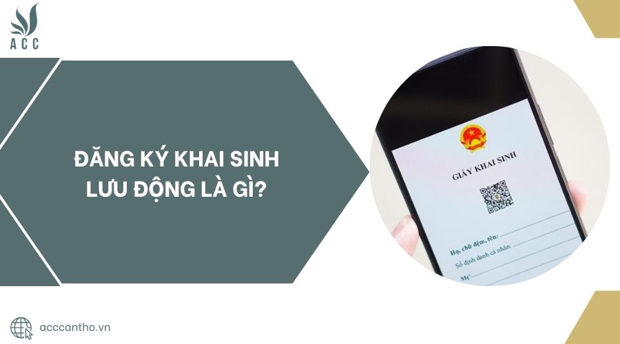Đăng ký khai sinh lưu động là gì?.jpg