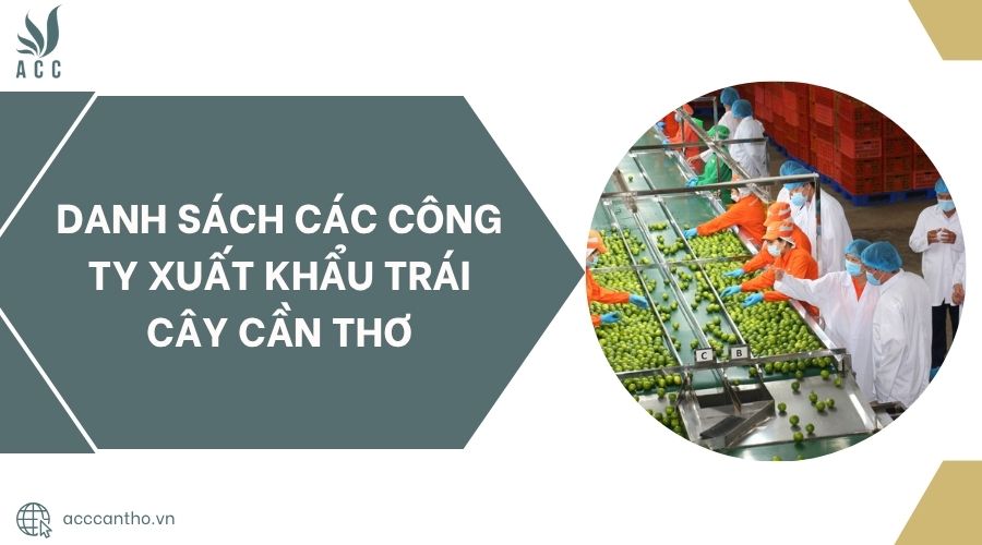 Danh sách các công ty xuất khẩu trái cây Cần Thơ.jpg