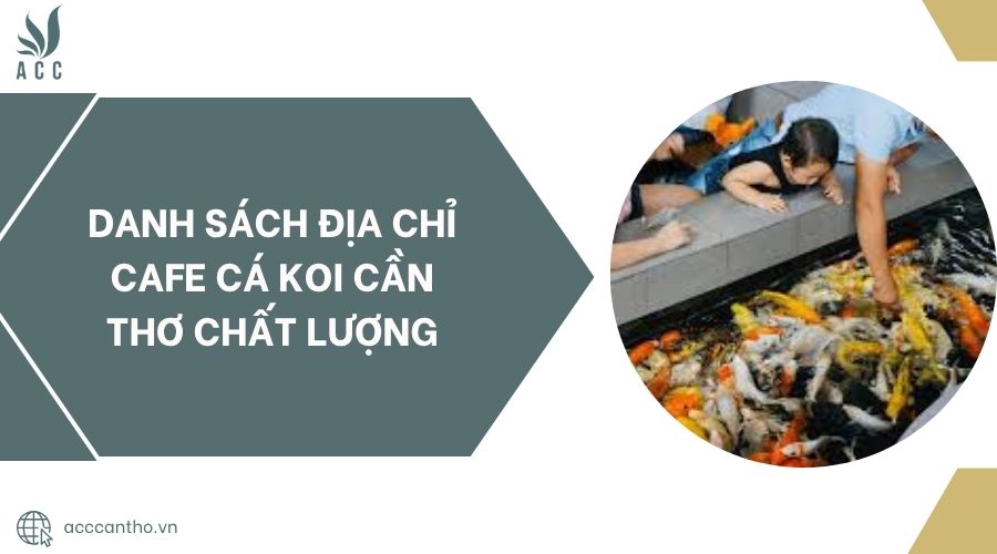 Danh sách địa chỉ Cafe Cá Koi Cần Thơ chất lượng.jpg